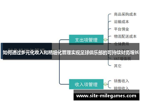 如何通过多元化收入和精细化管理实现足球俱乐部的可持续财务增长