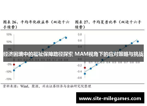 经济困境中的福祉保障路径探索 MAM视角下的应对策略与挑战