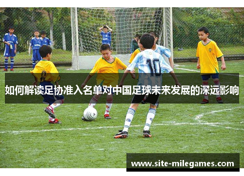 如何解读足协准入名单对中国足球未来发展的深远影响